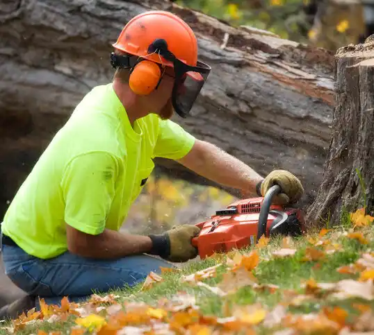 tree services Rockleigh